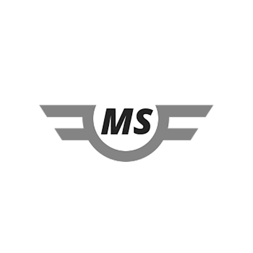 logo-ms-sales